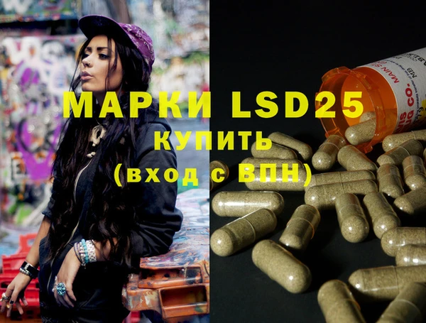 PSILOCYBIN Белокуриха